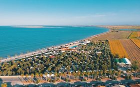 Taiga Delta De L'Ebre